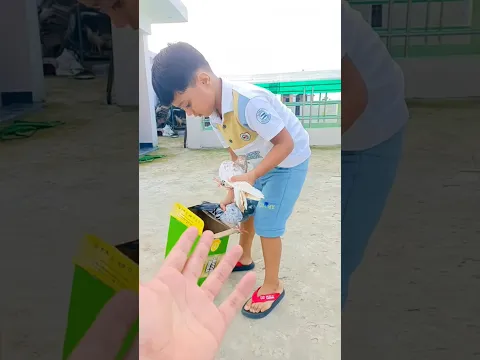 Aaj arham ne roller pigeons ko udaya 🕊️❤️🥰 #viral #shorts #kabootar #birds #youtubeshorts #youtube