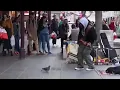 Lagu Pigeon  on the street, jamming and dancing along to busker playing Robin Thicke’s Blurred Lines