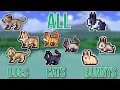ALL Town Dogs Cats and Bunny How to Acquire and Switch Pets in Terraria Towns