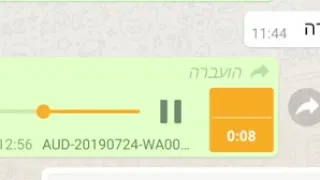 נטע אלחמיסטר הקלטה 