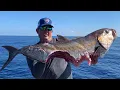 DEEP SEA FISHING 200 miles offshore YANKEE CAPTS - KEY WEST FL