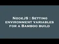 NodeJS Setting environment variables for a Bamboo build