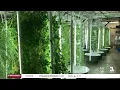 Old Market restaurant Gather in Omaha expands indoor urban farm