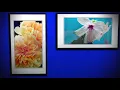 Free Copyright Beautiful Background Flowers - Border