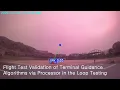 Vision-based Terminal Guidance Algorithm From Simulation to Flight Test Validation