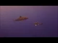 Longimanus meets tiger shark Rocky Island Red Sea Egypt - 2015 full unedited version