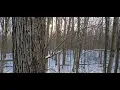 A Quiet Moment Bald Mountain State Recreation Area Lake Orion Michigan 24