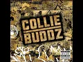 Blind to You - Collie Buddz
