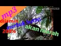 Download Lagu Mp3 dijamin merbuk hutan akan marah