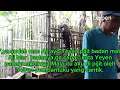 Download Lagu @jangan keluarin di dalam mas,aku takut hamil....#ceritadewasa#kisahnyata#ceritapanas#komedi
