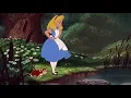 Try Hack Me Wonderland