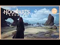 HOGWARTS LEGACY Coastal Vivarium Music Ambience Sleep Aid 8 HOURS