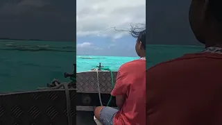 Did You Like It 🌴 Palmerston Island Ending! #shorts