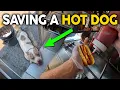 POV Saving a dog at the Hotdog Cart