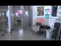 Whitman County Humane Society