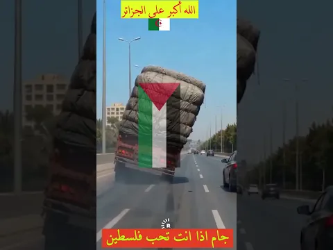 الجزائر وفلسطين: قصة شاحنة لا تسقط أبداً!  سند لا يميل 🤝