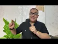 Download Lagu سر بيان الاهلي لوسام وامام-شطب يونس-صفقة مرعي وشكري-قرار داري وهاني-مفاجاة المونديال-قضية المتجاوزين