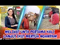 #vlog131 PERTAMA KALI MELIHAT UNTA DINEPAL LANJUT IKUT MERTUA NGANYAM TIKAR BERSAMA TETANGGA 🇳🇵