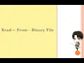 Read Data from Binary File in Java