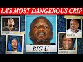 The Dark Downfall of Big U LA s Most Dangerous Crip