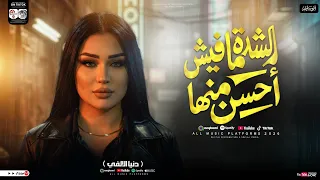 الشده مافيش احسن منها   قول لما تشوفني مشاء الله   دنيا الالفي    شعبي حظ جديد      دندنها