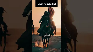 قوة عمرو بن العاص فتح مصر البطريرك عمرو بن العاص 