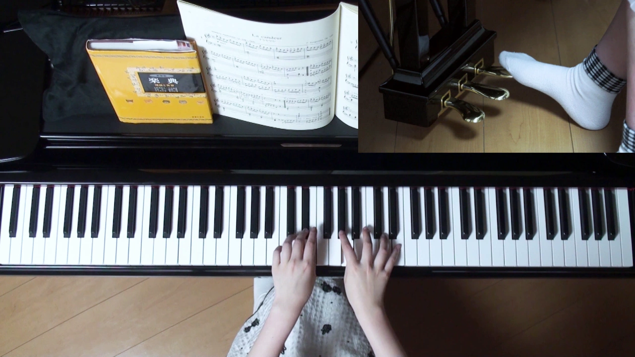 Johann Burgmüllerの人気曲ランキング【2025】