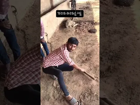 રય ગ્યો મારો કલેજો 🥹😭| The mehulo comedy | #comedy #kaleja #sanjaygadhvi #trending #viral #gujarati