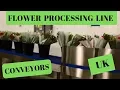 Automated Flower Processing Line Machines with Conveyors UK