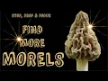 2023 The Art of Morel Mushroom Hunting Enhance Your Success with the Stop Drop Focus Technique