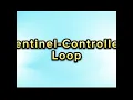 Sentinel-Controlled Loop -
