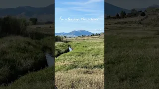 For a few days, this is home. No mortgage, no fences.