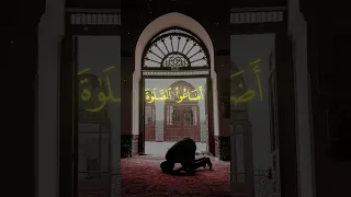 اشترك تشجيعا لأخوك المسلم     فخلف من بعدهم خلف اضاعوا الصلاة   صوت خاشع دندنها