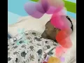 How I sleep knowing meme