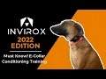 MUST KNOW How to STOP Unwanted Dog Behaviors with an E COLLAR Conditioning