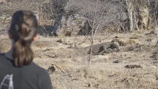 108 – Oh Yes, Dragons Are Real in Komodo National Park
