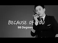 Download Lagu BECAUSE  OF  YOU - 98 Degrees [ LYRICS ]