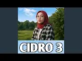 CiDRO 3