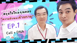 ทำไมลักษณะของเด็กถึงไม่เหมือนพ่อหรือแม่ทั้งหมด