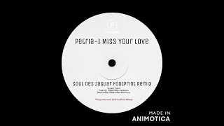 petria i miss your love soul des jaguar footprint remix 