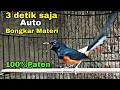 Download Lagu Pancingan Murai  Batu  3 detik Langsung bongkar Materi 100% Paten