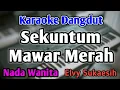 Download Lagu SEKUNTUM MAWAR MERAH - KARAOKE || NADA WANITA CEWEK || Dangdut Band || Elvy Sukaesih || Live Key