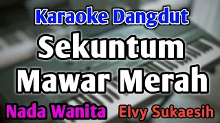 sekuntum mawar merah karaoke nada wanita cewek dangdut band elvy sukaesih live key