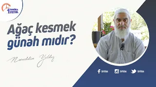 Ağaç kesmek günah mıdır?