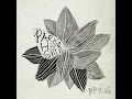Wild Flower (야생화) - Park Hyo Shin