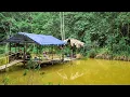 Download Lagu Hidup di desa dayak, tradisi makanan dayak dari sungai ke meja makan, jantung citra rasa kalimantan
