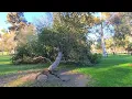 Riverside CA News - High Winds