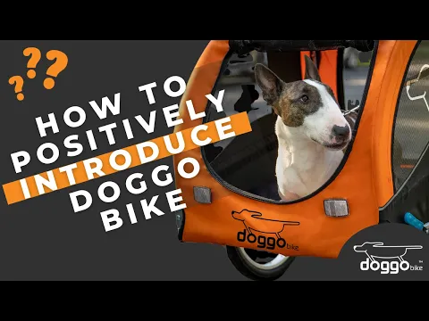 How to positively introduce the Doggo Bike trailer to your dog