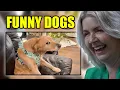 BRITS React to Dogs Being DRAMATIC for No Reason