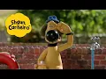 Download Lagu 🐑Shaun, o Carneiro [Shaun the Sheep] Cão em marcha 🐑 Hora Especial🐑| Cartoons Para Crianças